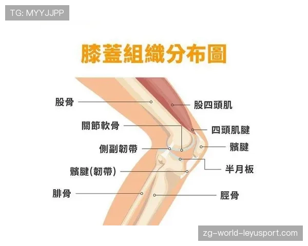 半月板移植：捐赠者的运动人生延续，半月板移植费用是多少